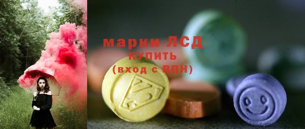 метадон Богданович