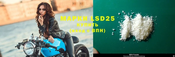 метадон Богданович