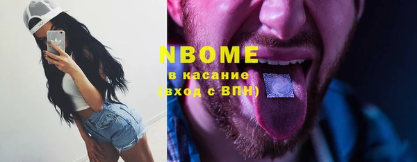 метадон Богданович