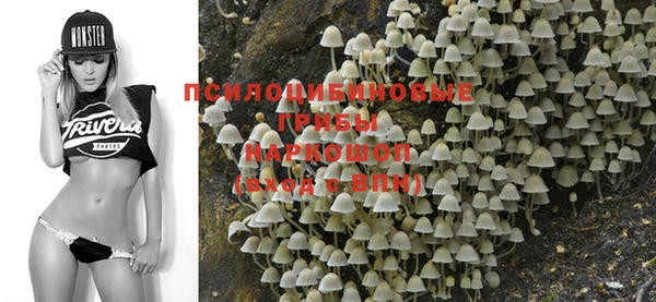 метадон Богданович