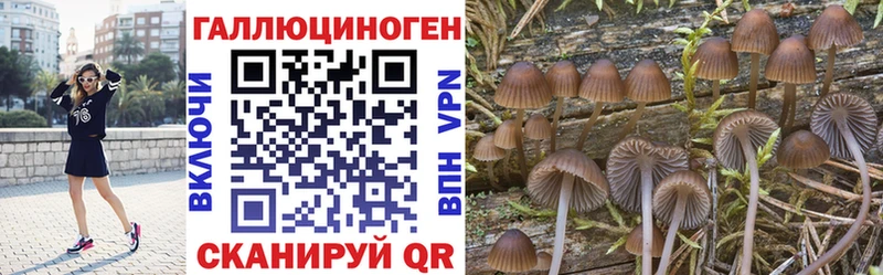 Псилоцибиновые грибы Magic Shrooms  Северск 