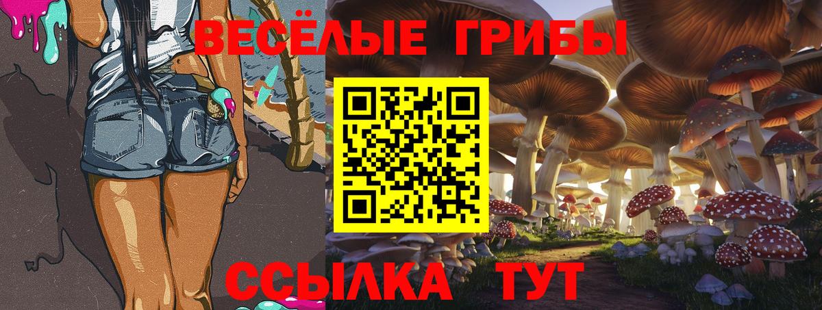 Псилоцибиновые грибы Psilocybine cubensis  Вход с VPN  Северск 